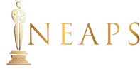 NIGERIA EXCELLENCE AWARDS IN PUBLIC SERVICE